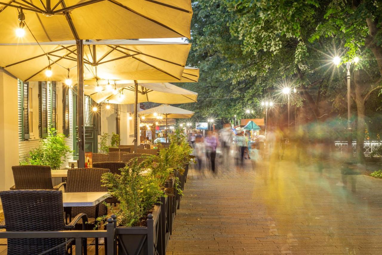 Vila Emilia Vrnjačka Banja Esterno foto