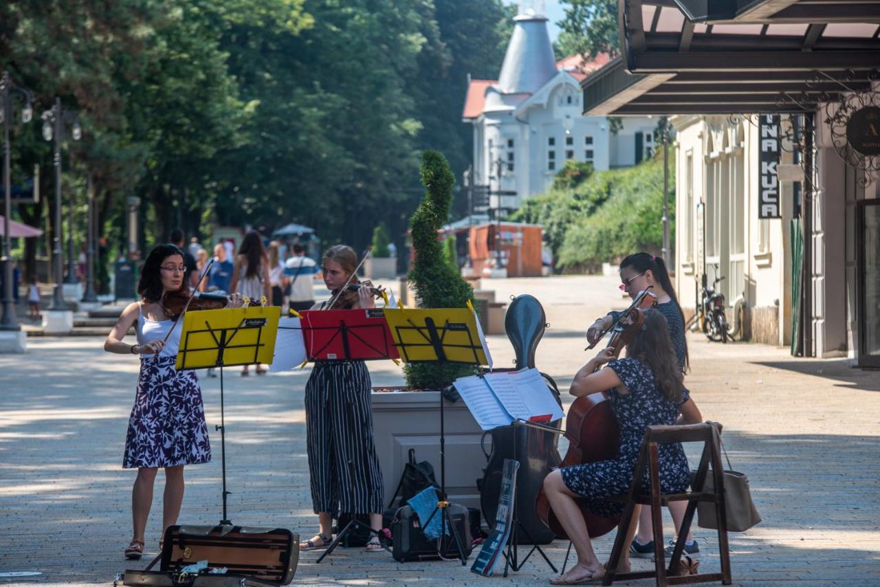 Vila Emilia Vrnjačka Banja Esterno foto