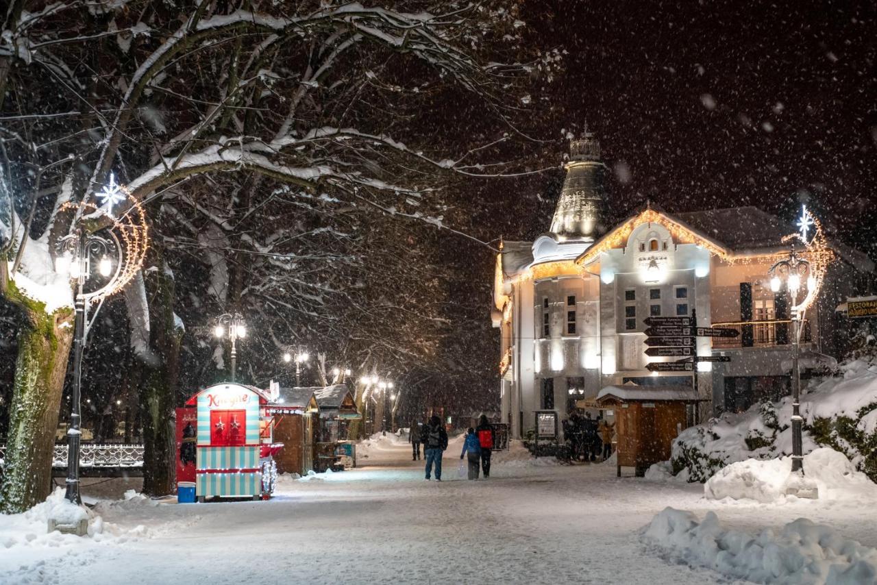 Vila Emilia Vrnjačka Banja Esterno foto